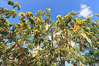 《卧龙：苍天陨落》IGN 8分 战斗最好的魂类游戏